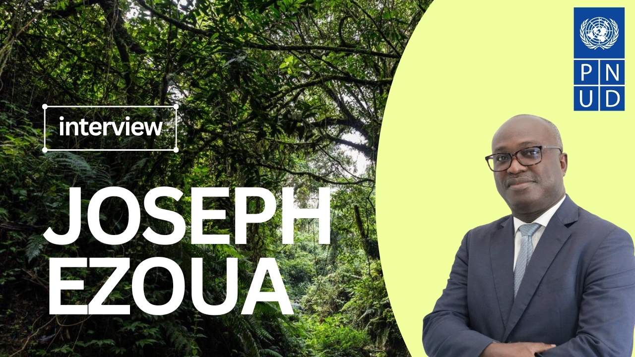 Carbon Markets in the DRC – Interview with Joseph Ezoua (UNDP)